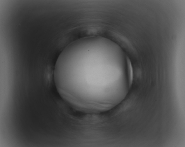 X0000100910914200807081121