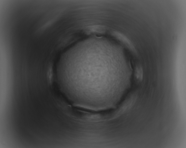 X0000100910915200807081121