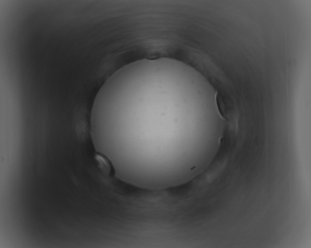 X0000100910916200807081121