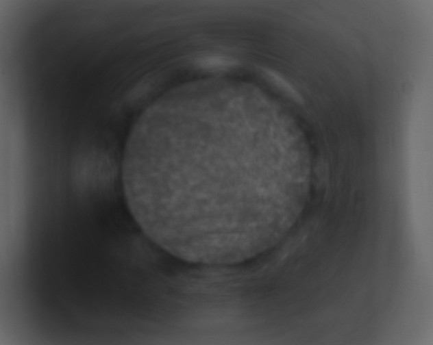 X0000100910917200807081121