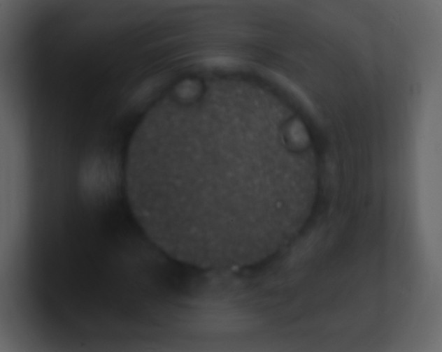 X0000100910918200807081121