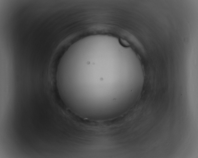 X0000100910920200807081121