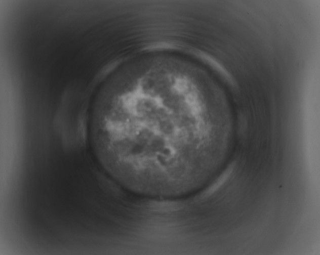 X0000100910921200807081121