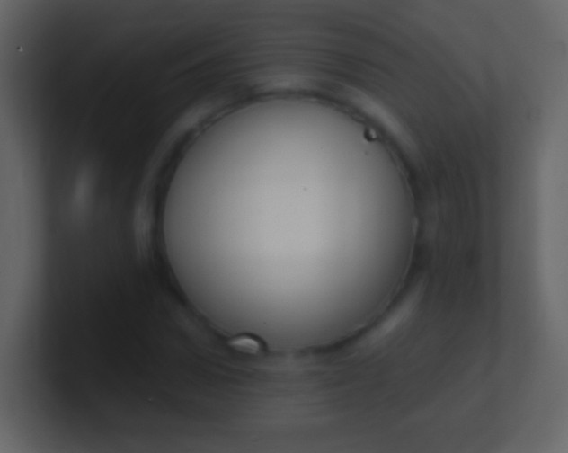X0000100910922200807081121