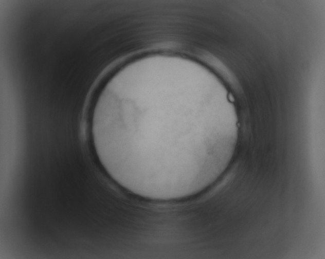 X0000100910924200807081121