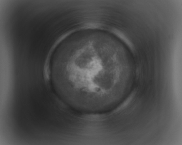 X0000100910925200807081121