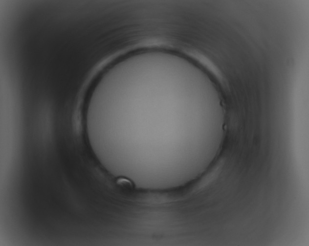 X0000100910927200807081121