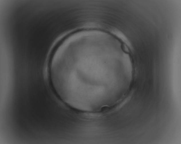 X0000100910928200807081121