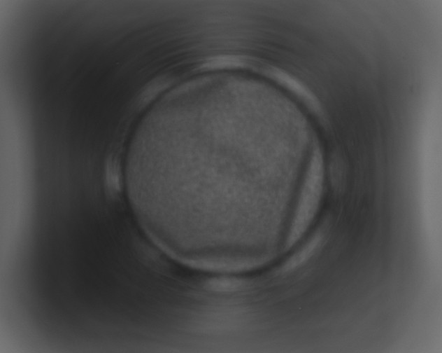 X0000100910929200807081121