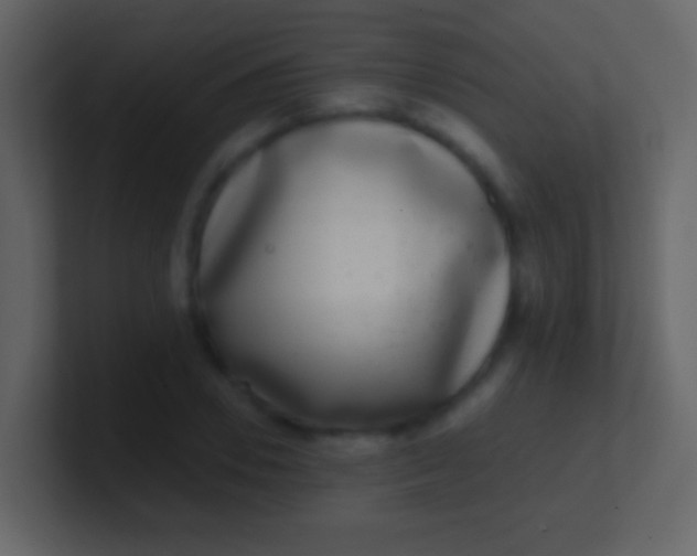 X0000100910930200807081121