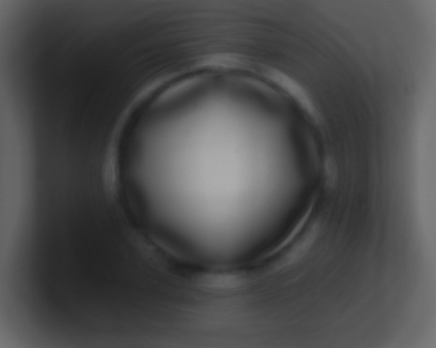 X0000100910931200807081121
