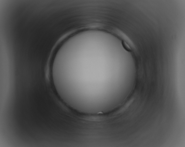 X0000100910932200807081121