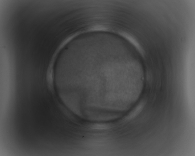 X0000100910933200807081121