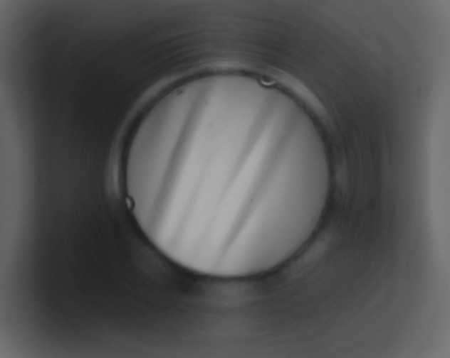 X0000100910934200807081121