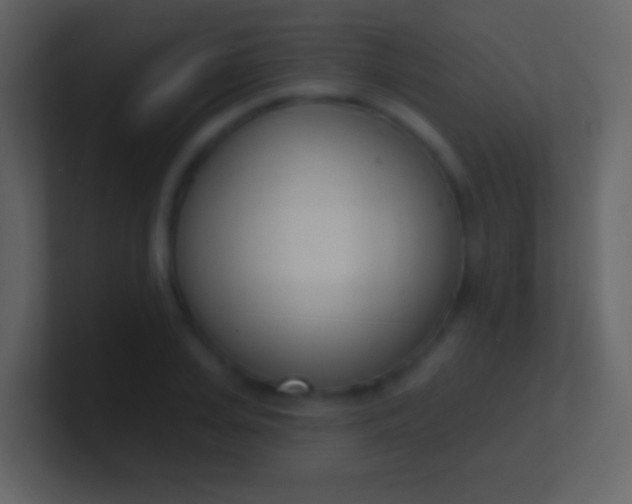 X0000100910935200807081121