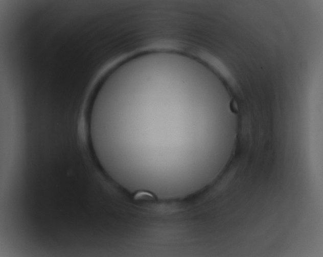 X0000100910936200807081121