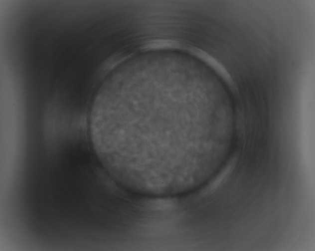 X0000100910937200807081121