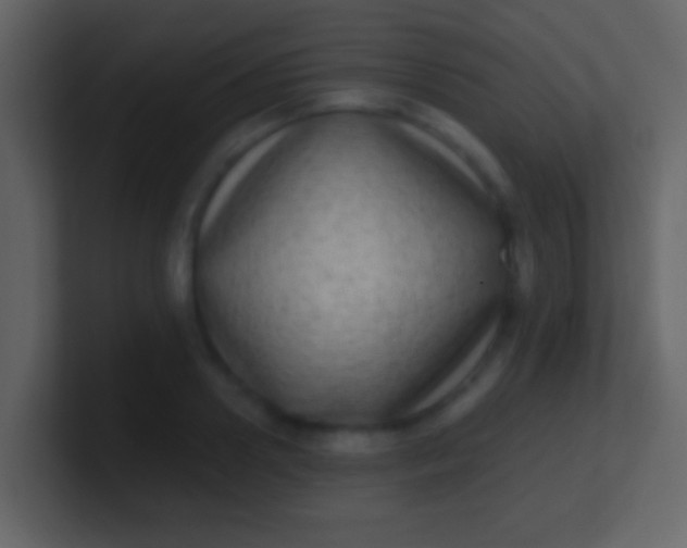 X0000100910938200807081121