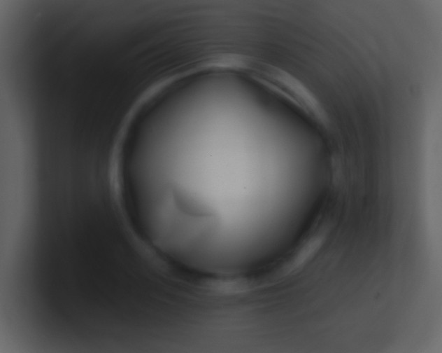 X0000100910939200807081121