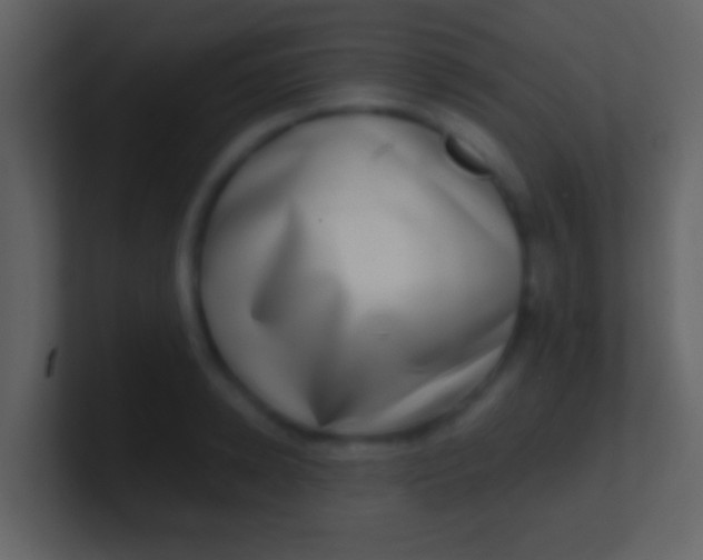 X0000100910942200807081121