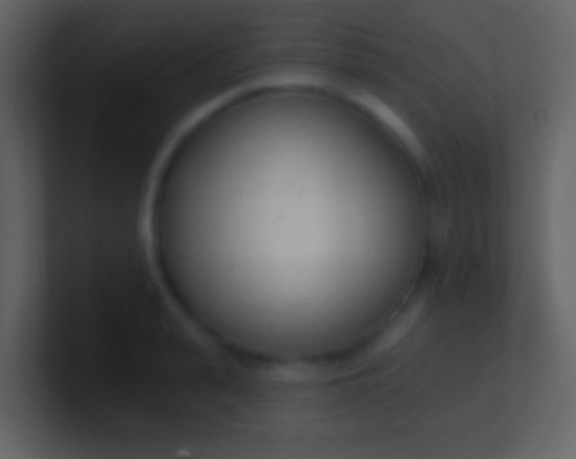X0000100910943200807081121