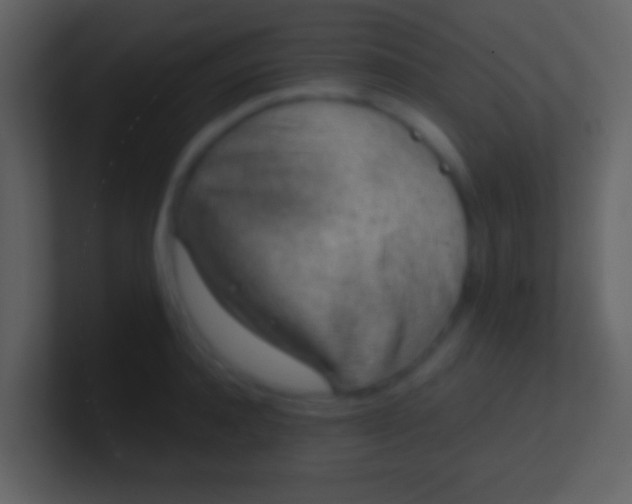 X0000100910944200807081121