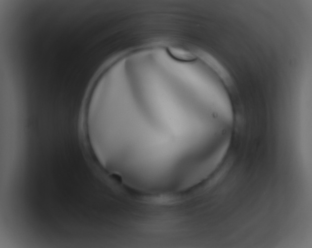 X0000100910948200807081121