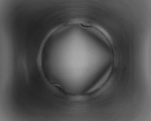 X0000100910949200807081121