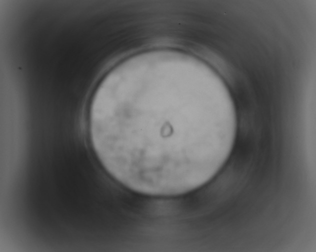 X0000100910950200807081121