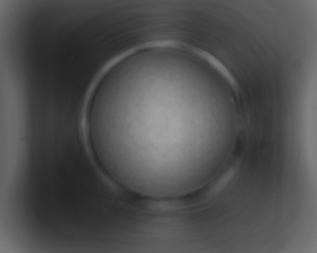 X0000100910951200807081121