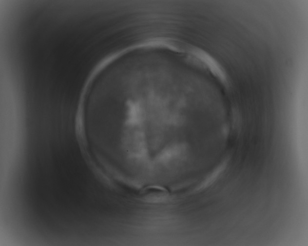 X0000100910952200807081121