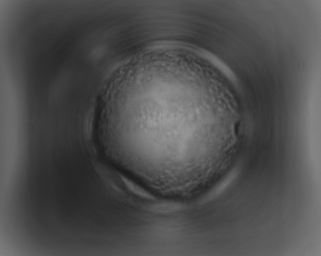 X0000100910953200807081121