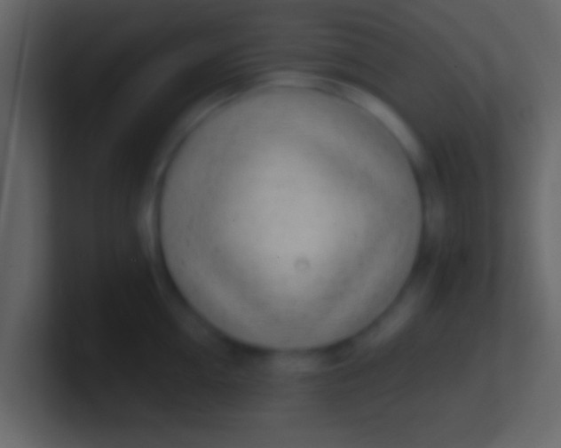 X0000100910954200807081121