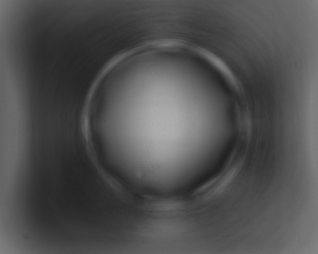 X0000100910959200807081121