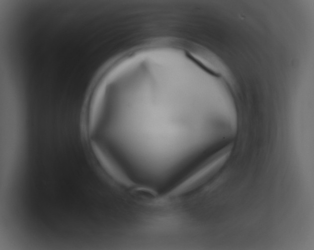 X0000100910960200807081121