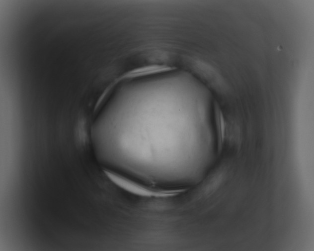 X0000100910962200807081121