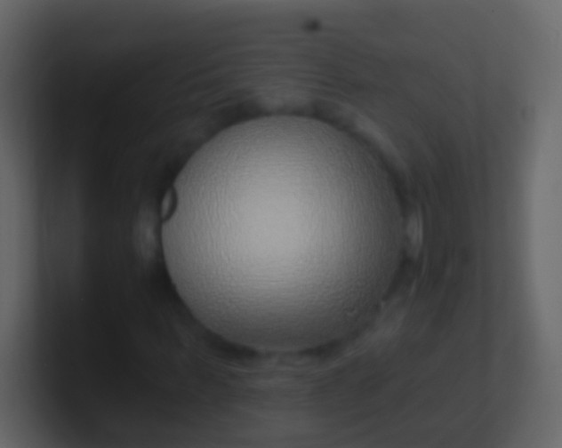 X0000100910963200807081121