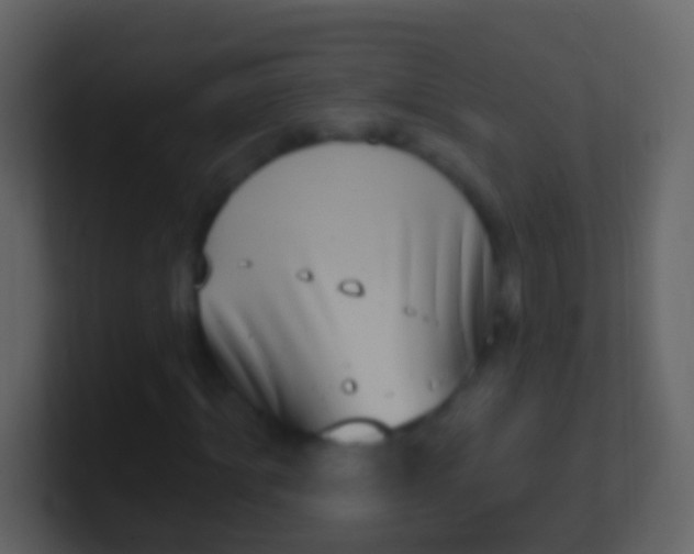 X0000100910964200807081121