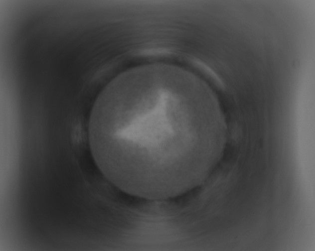 X0000100910966200807081121