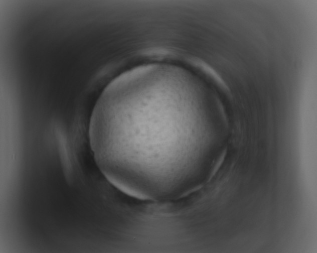 X0000100910967200807081121