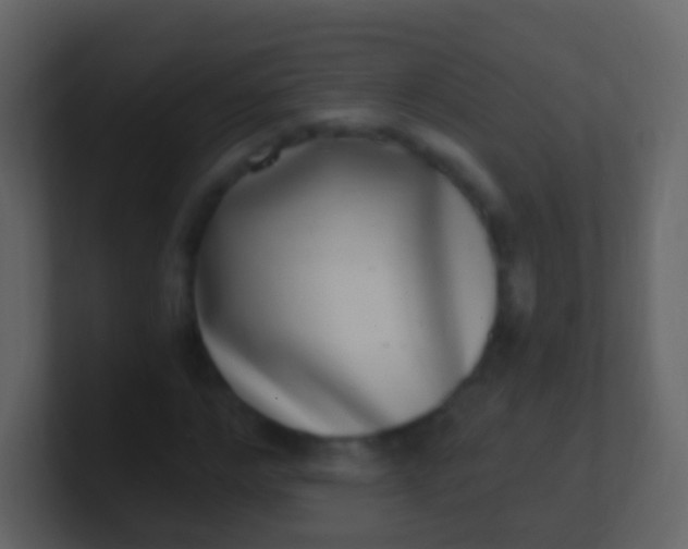 X0000100910968200807081121