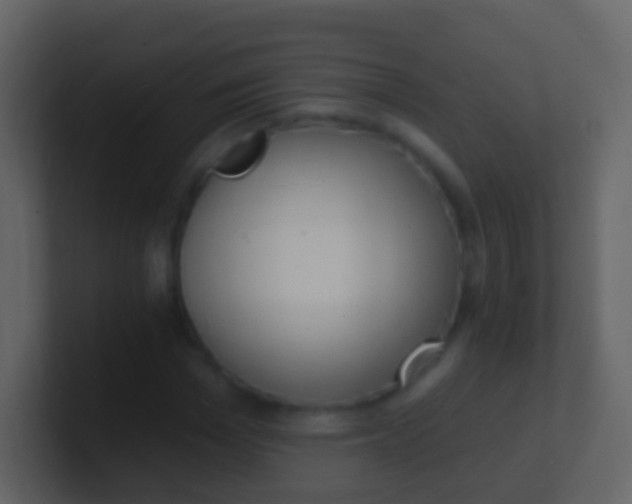 X0000100910969200807081121