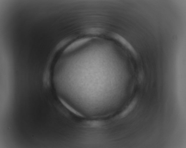 X0000100910970200807081121