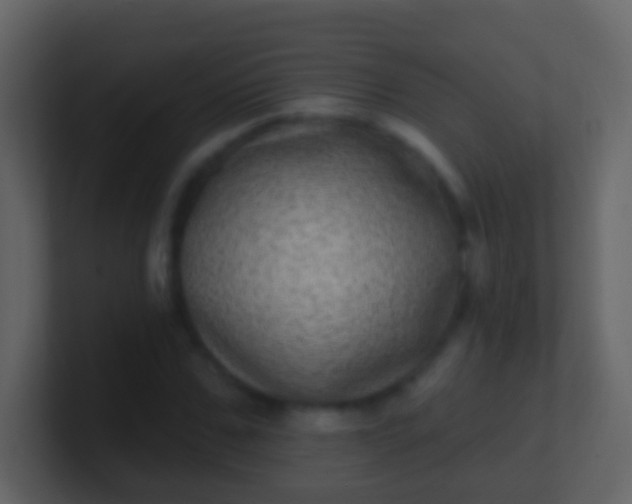 X0000100910971200807081120
