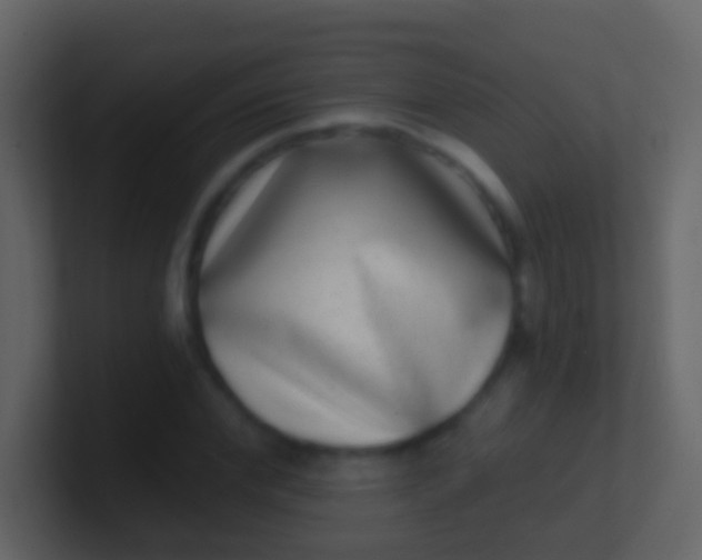 X0000100910972200807081120