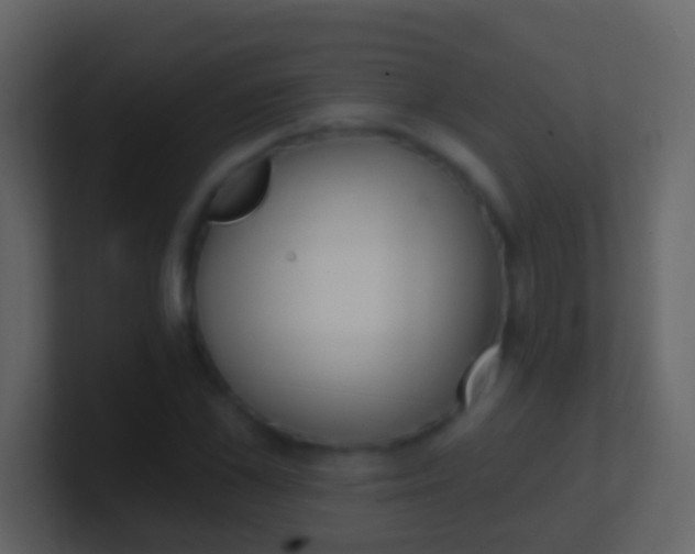 X0000100910973200807081120
