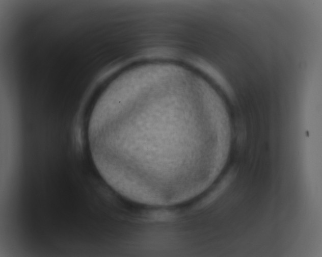 X0000100910974200807081120