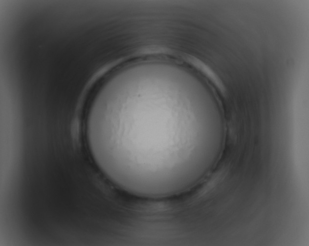 X0000100910975200807081120