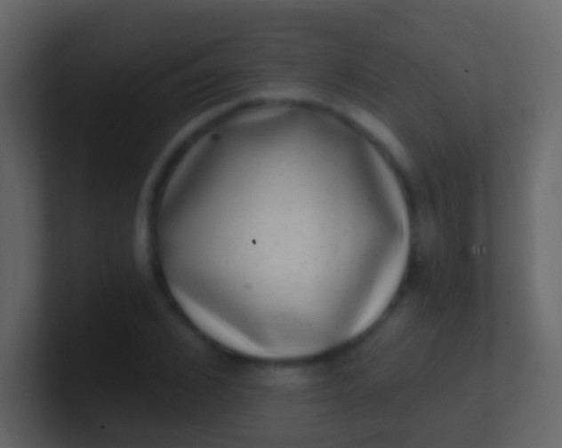 X0000100910976200807081120