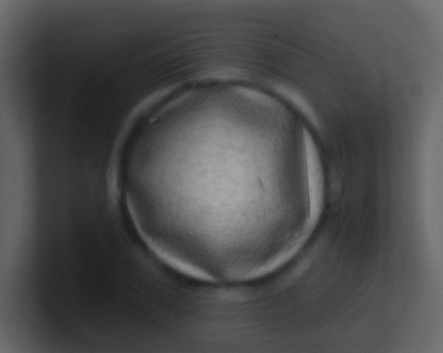 X0000100910979200807081120